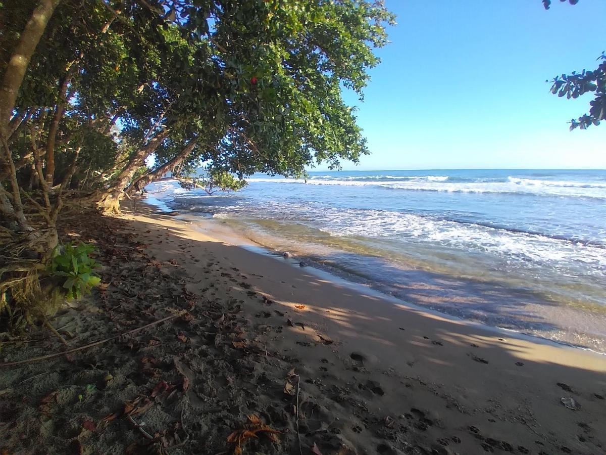 Hotel Escape Caribeno Puerto Viejo de Talamanca Zewnętrze zdjęcie