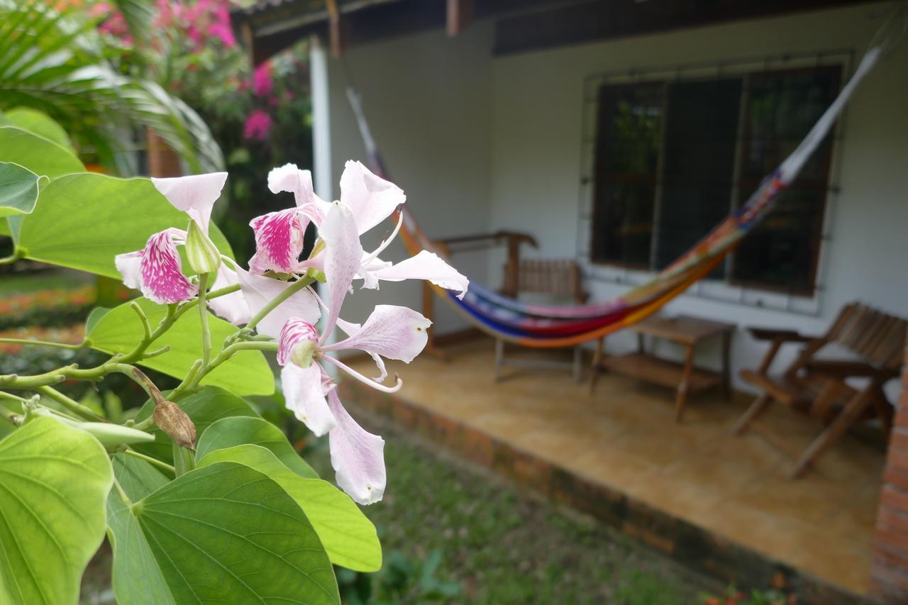 Hotel Escape Caribeno Puerto Viejo de Talamanca Zewnętrze zdjęcie